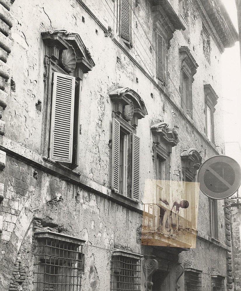 and bear, escape, 2020 — pigment print by C Fodoreanu