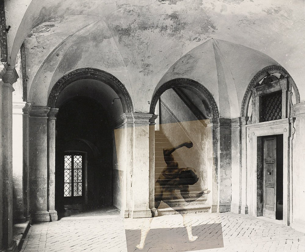 and bear, walls, 2020 — pigment print by C Fodoreanu