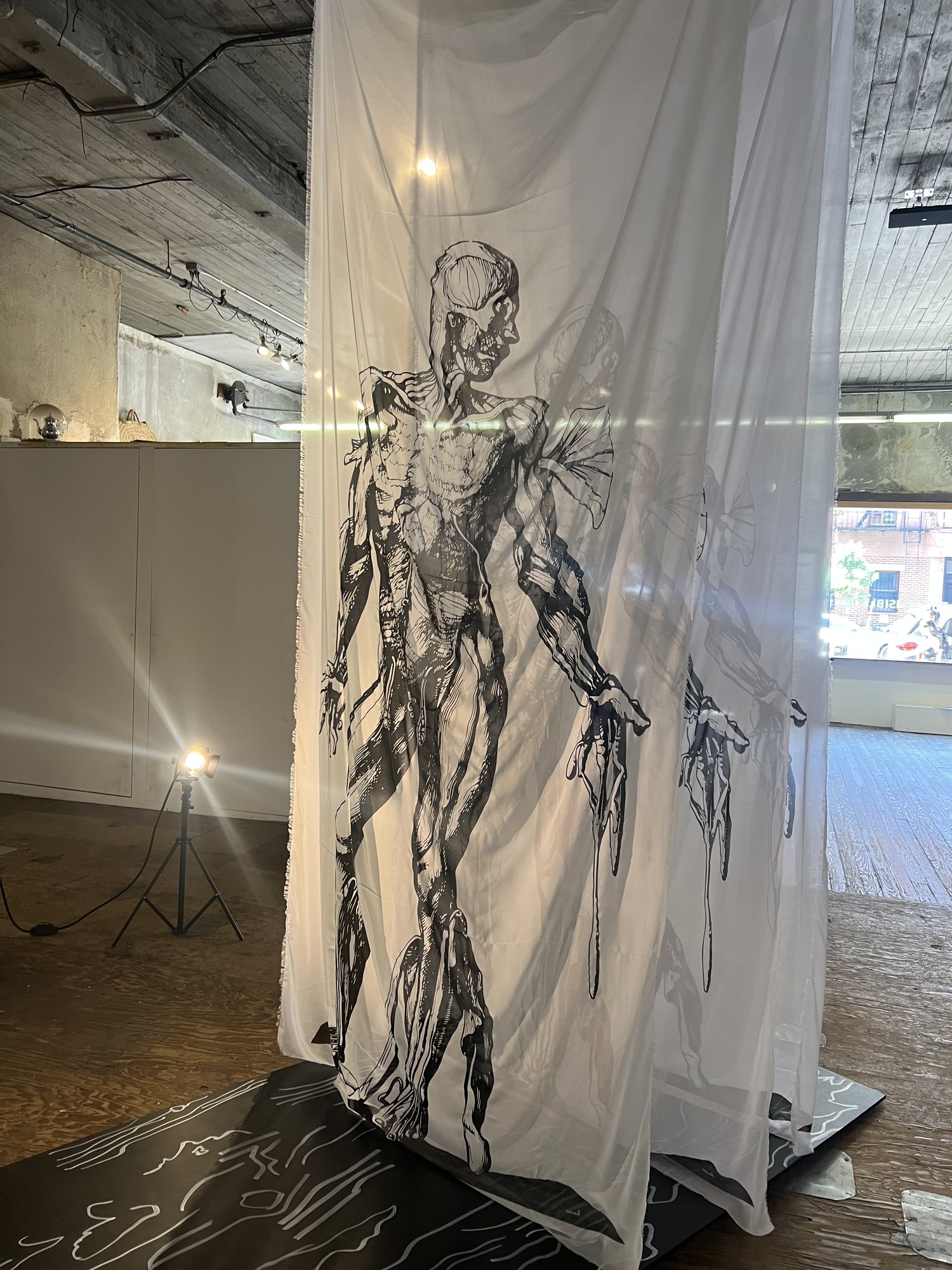 assemble, installation view at Liminal Forms, The Invisible Dog Art Center, Brooklyn, 2023 — front view of Vesalius muscle-figure on silk panel
