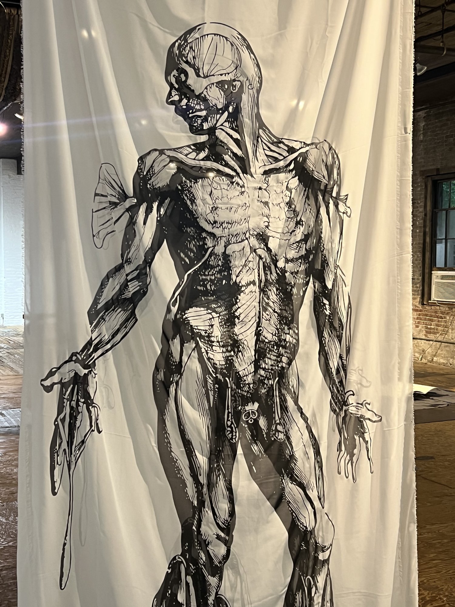 assemble, installation view at Liminal Forms, The Invisible Dog Art Center, Brooklyn, 2023 — detail of Vesalius muscle-figure on silk panel