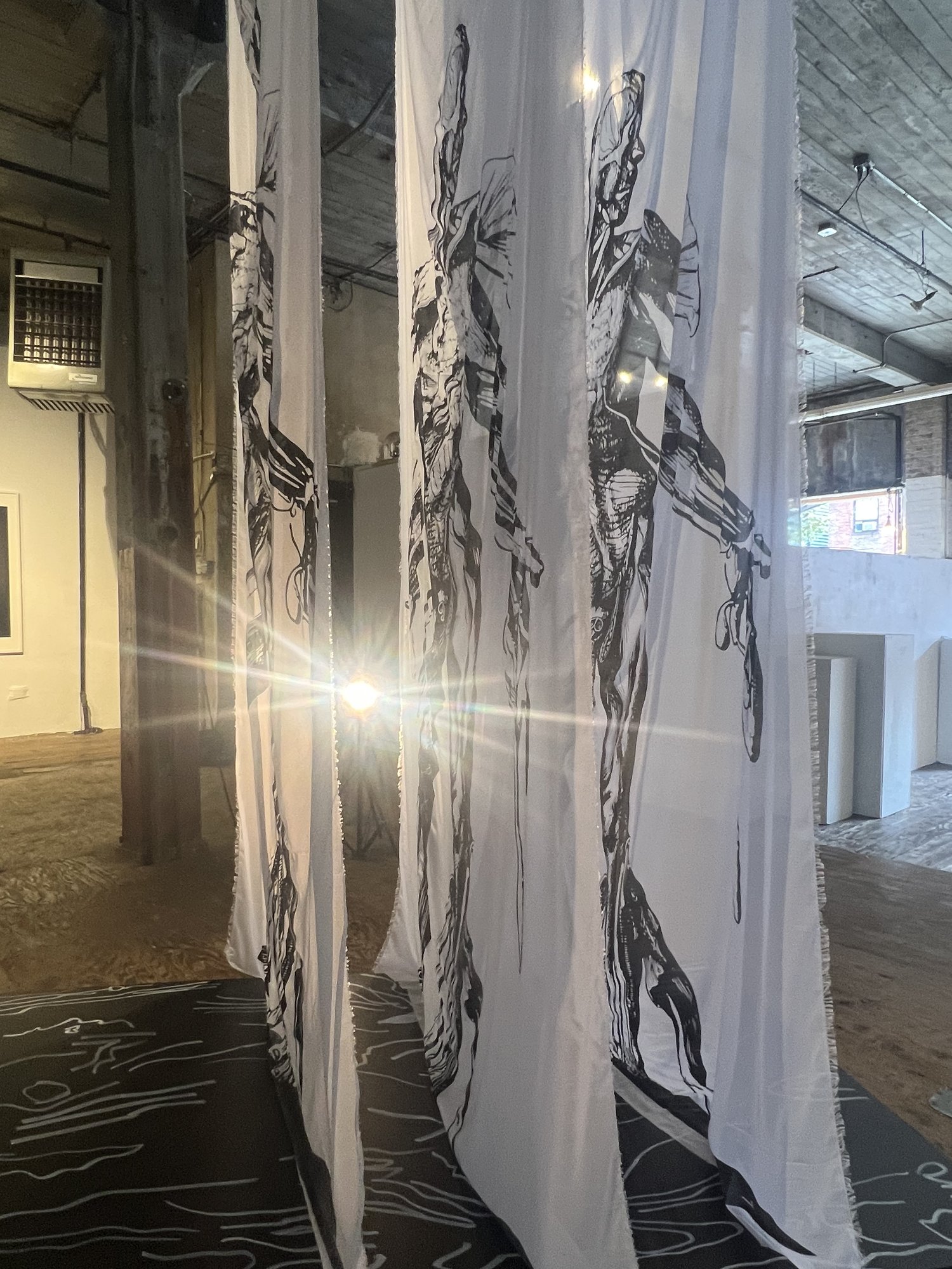 assemble, installation view at Liminal Forms, The Invisible Dog Art Center, Brooklyn, 2023 — backlit silk panels with sunlight