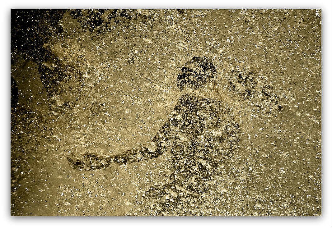 no. 11, dancers series, 2008, printed 2019