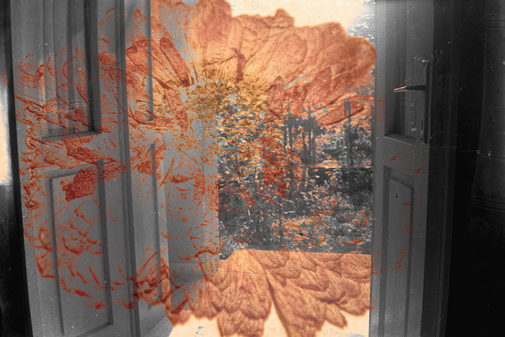 door to the gardens, fables series, 2021