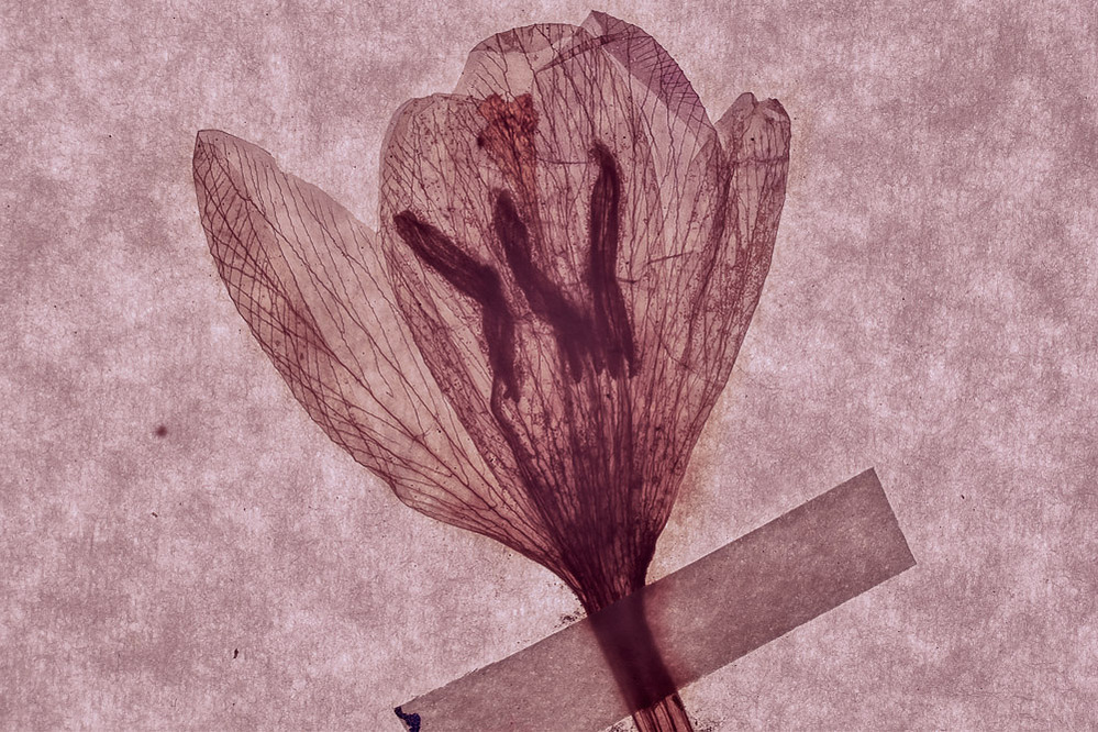 fables, fables series, 2019