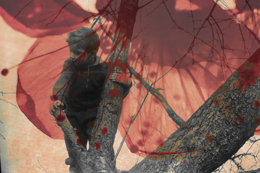 nest, fables series, 2021
