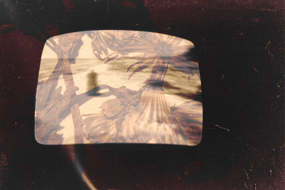 shadow box, fables series, 2021