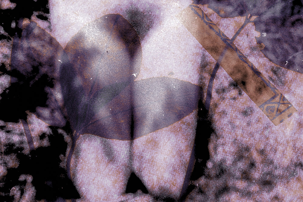 under flower, fables series, 2021