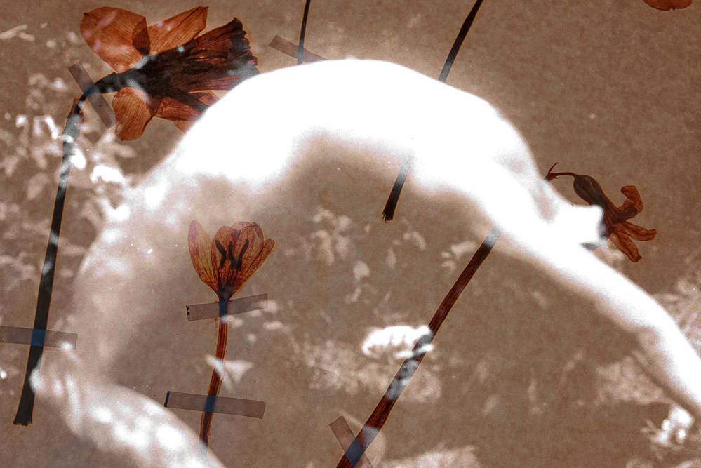 vault, fables series, 2021