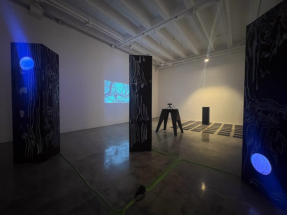 lost trees, installation view, Ronald H. Silverman Fine Arts Gallery, Cal State LA, 2023