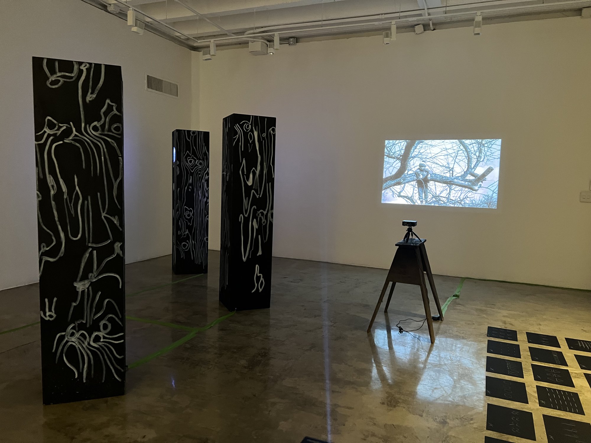 lost trees, installation view with projection, Ronald H. Silverman Fine Arts Gallery, Cal State LA, 2023