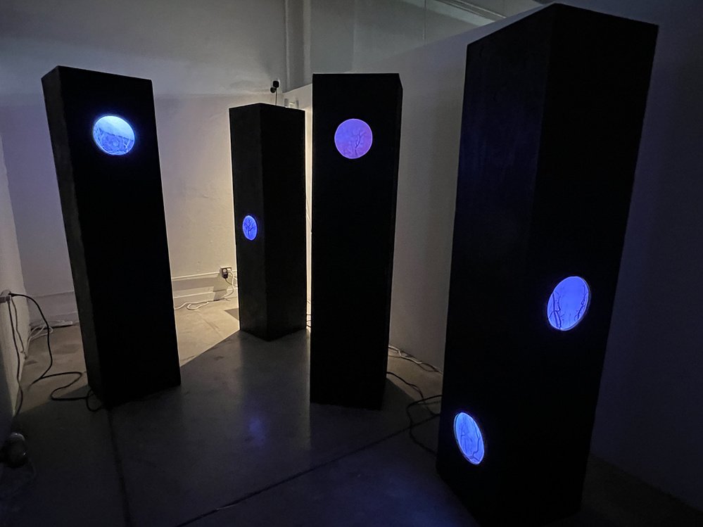 lost trees, installation view, The Studio Door, San Diego, 2022
