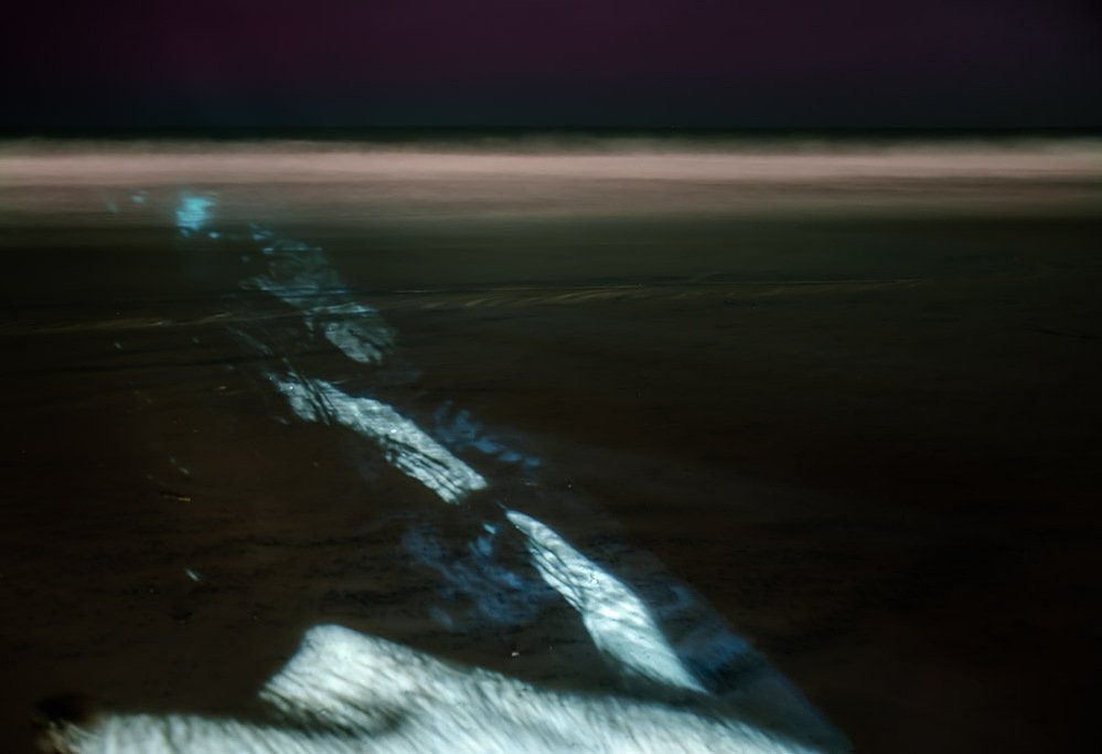night swim #9, phosphorescent trail along a dark wet beach at night, 2020