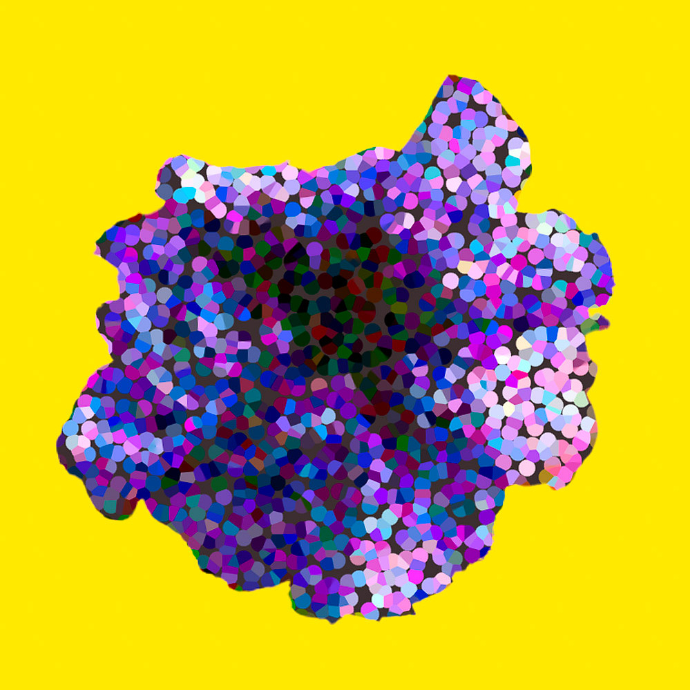 situs solitus, 803 C — pigmented form on yellow ground, 2021