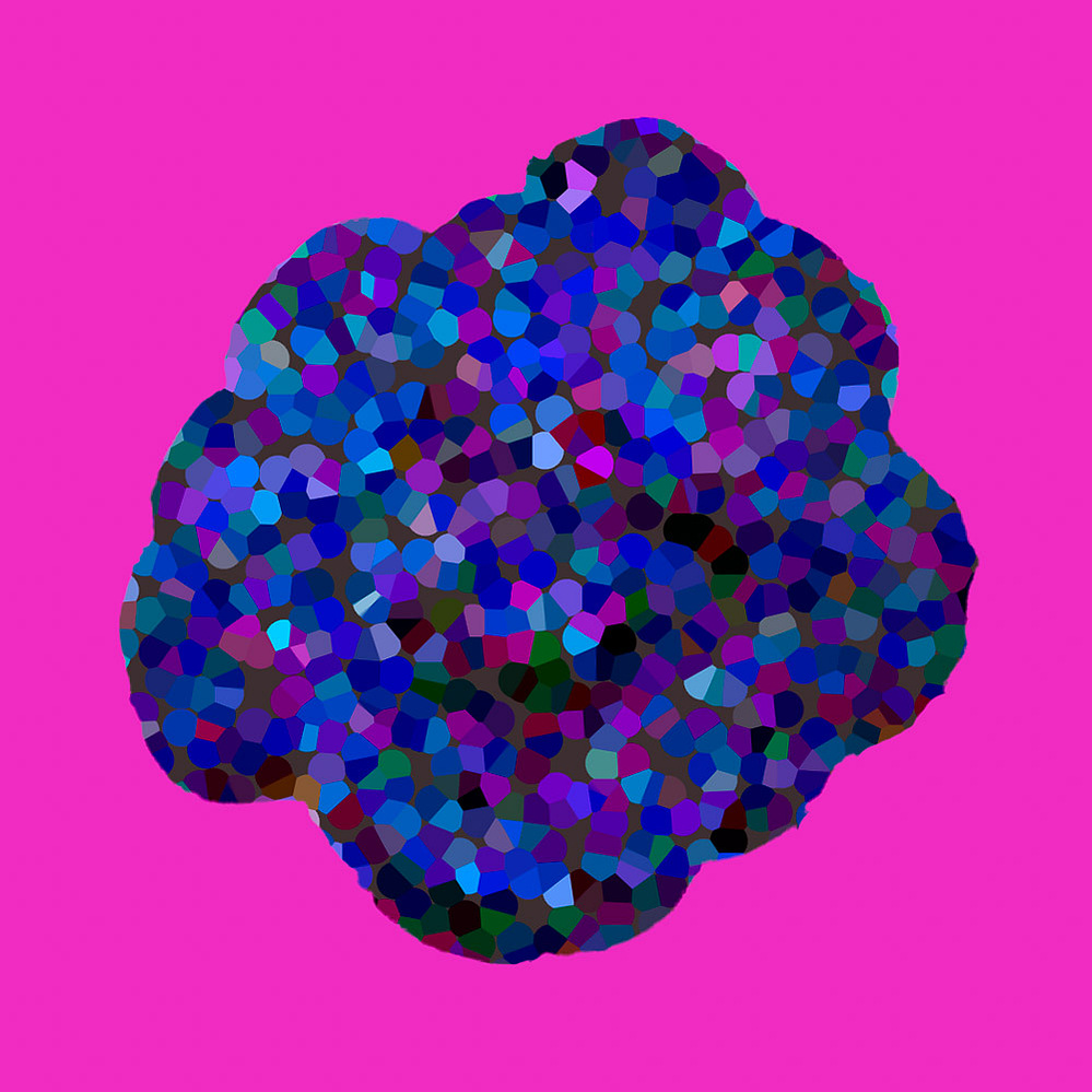 situs solitus, 807 C — pigmented form on magenta ground, 2021