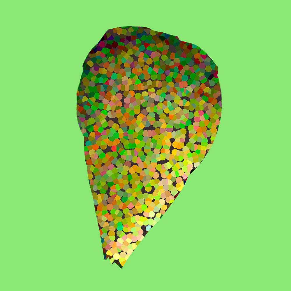 situs solitus, 902 C — pigmented form on green ground, 2021