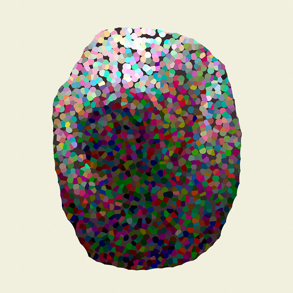 situs solitus, 9064 C — pigmented form on cream ground, 2021