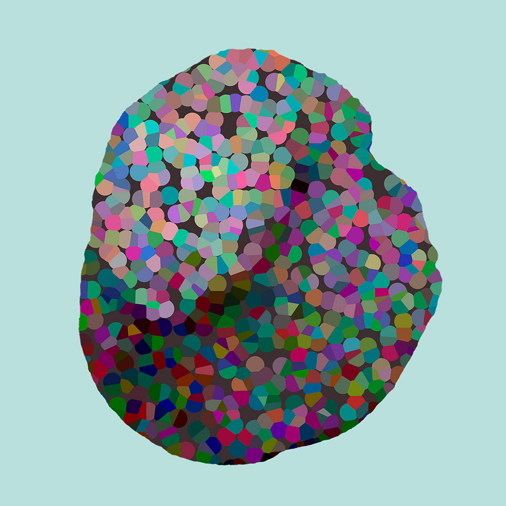 situs solitus, 9501 C — pigmented form on light blue ground, 2021