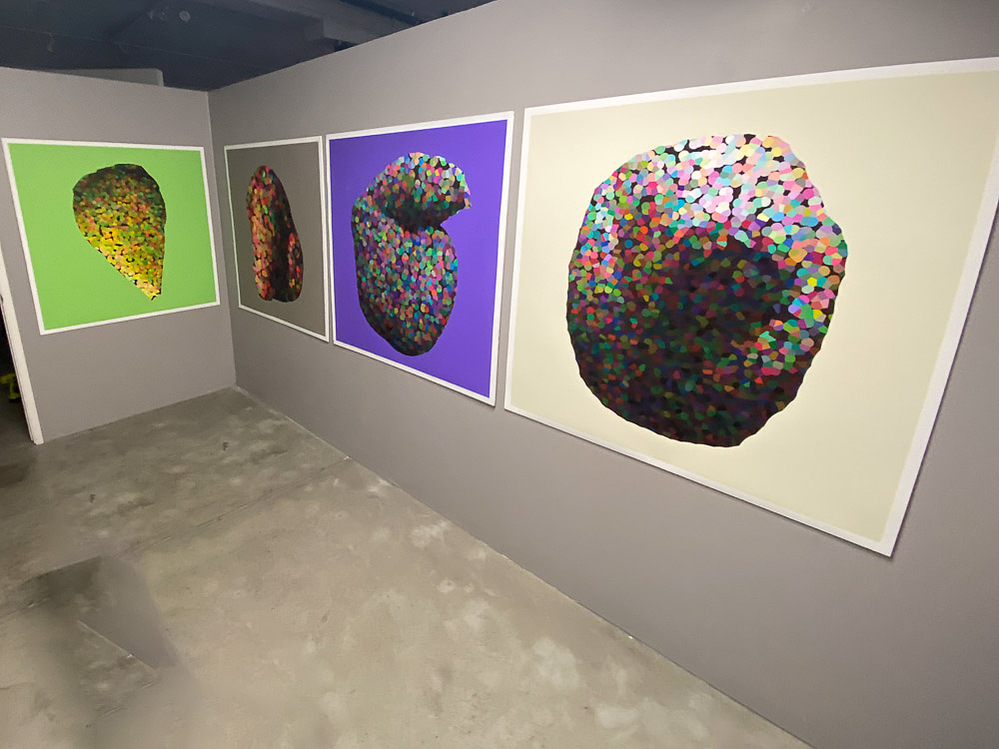 situs solitus, installation view at The Studio Door, San Diego, 2021