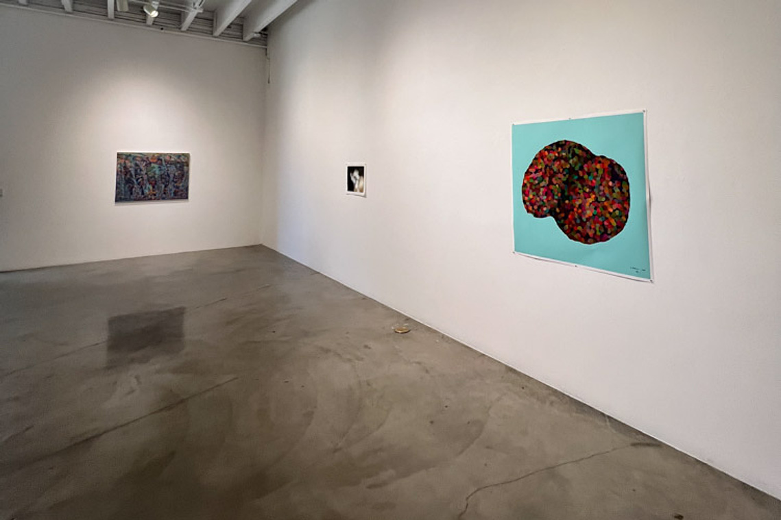 situs solitus, installation view at Peggy Phelps and East Galleries, Claremont, 2022