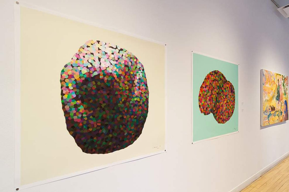 situs solitus, interior installation view at SVA Flatiron Windows, New York, 2022