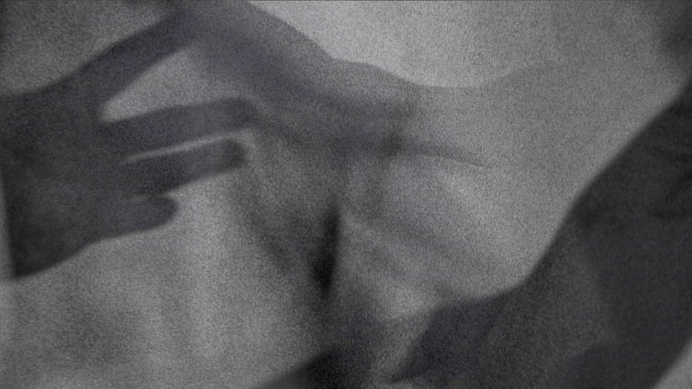 still #5, stills series, 2021