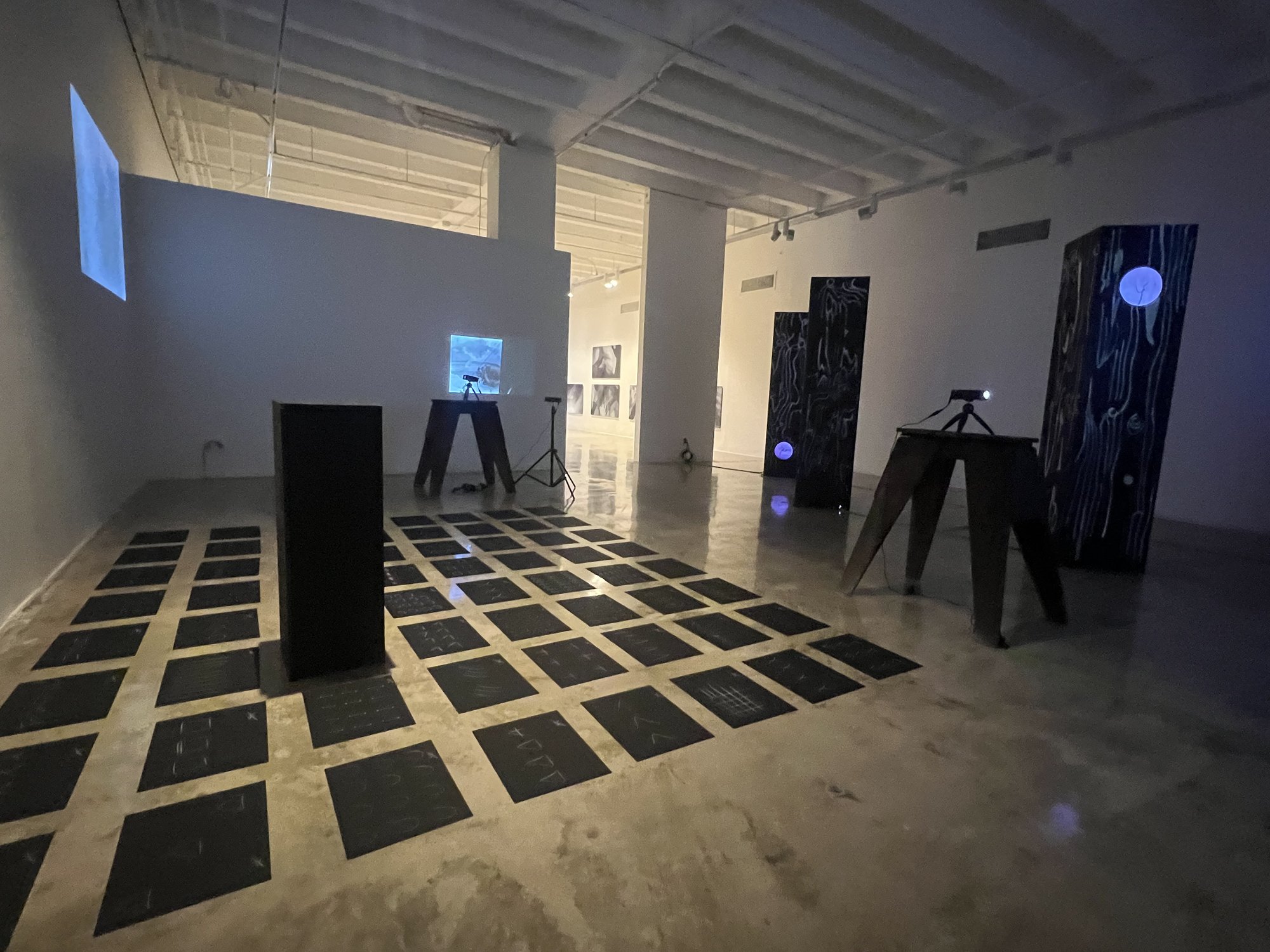 the giveaway, installation view at Ode to the Lake Sacalaia, Ronald H. Silverman Fine Arts Gallery, Cal State LA, 2023 — shown alongside lost trees