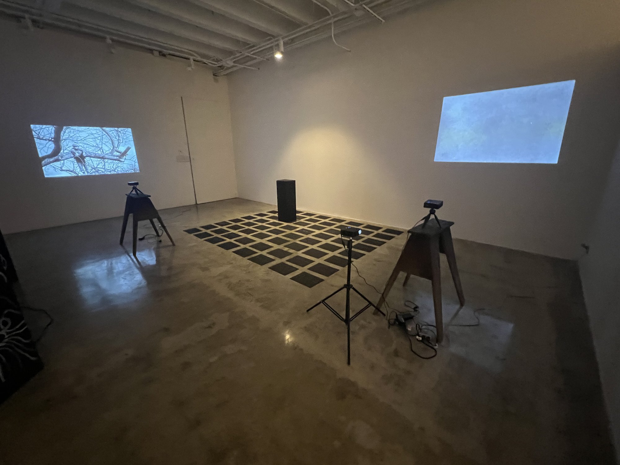 the giveaway, installation view at Ode to the Lake Sacalaia, Ronald H. Silverman Fine Arts Gallery, Cal State LA, 2023 — shown alongside lost trees