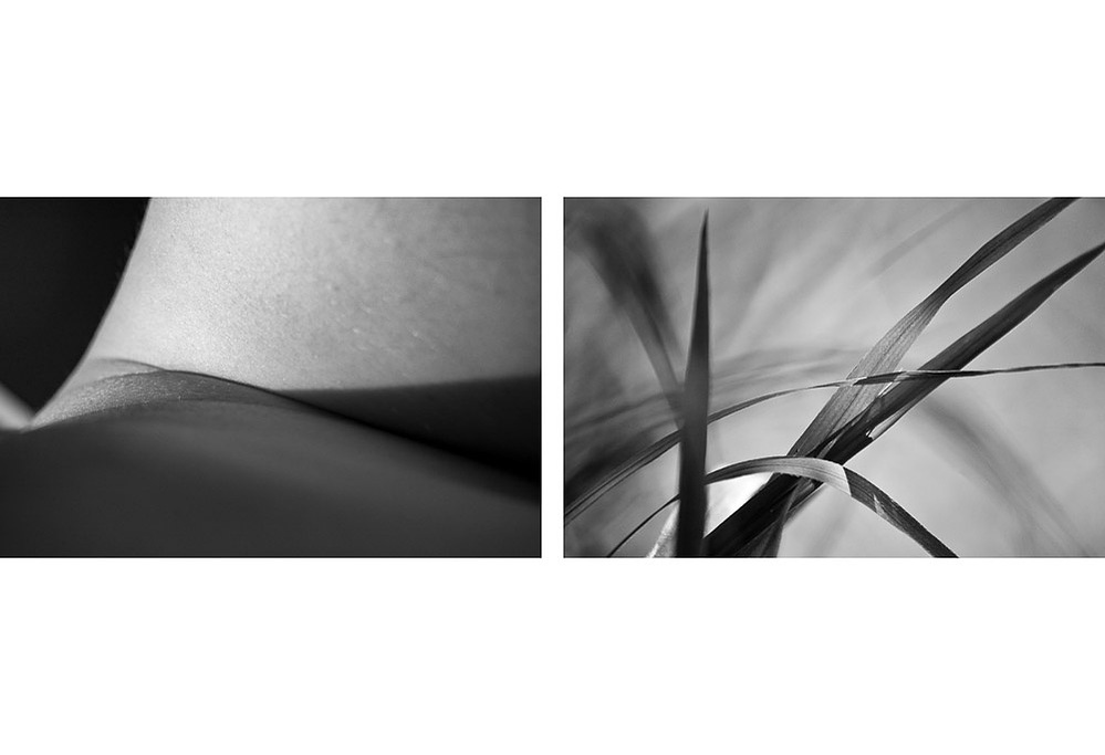 no. 1, traces series, diptych, 2008, printed 2019