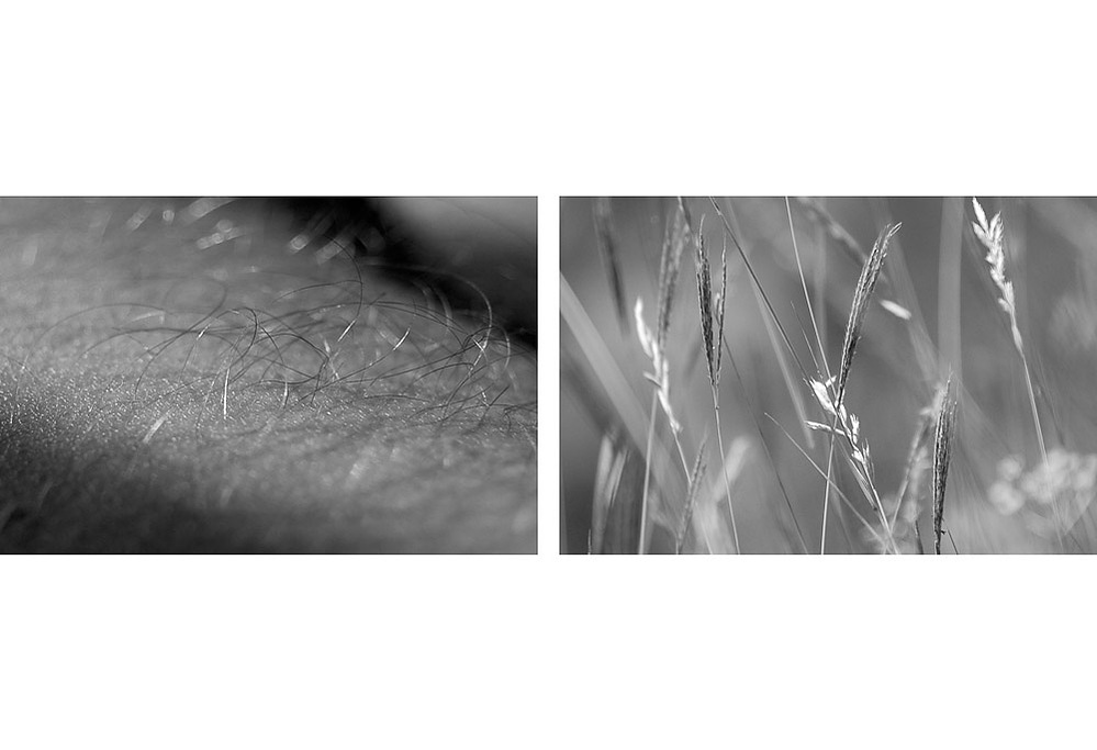 no. 10, traces series, diptych, 2008, printed 2019