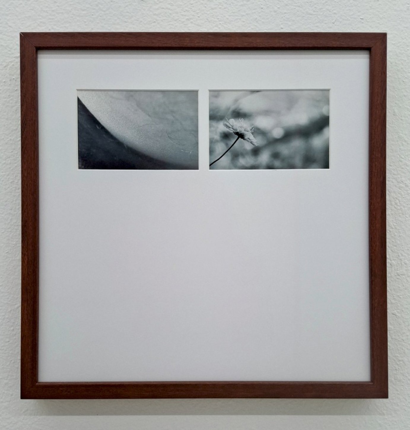 no. 12, traces series, diptych, 2008, printed 2019