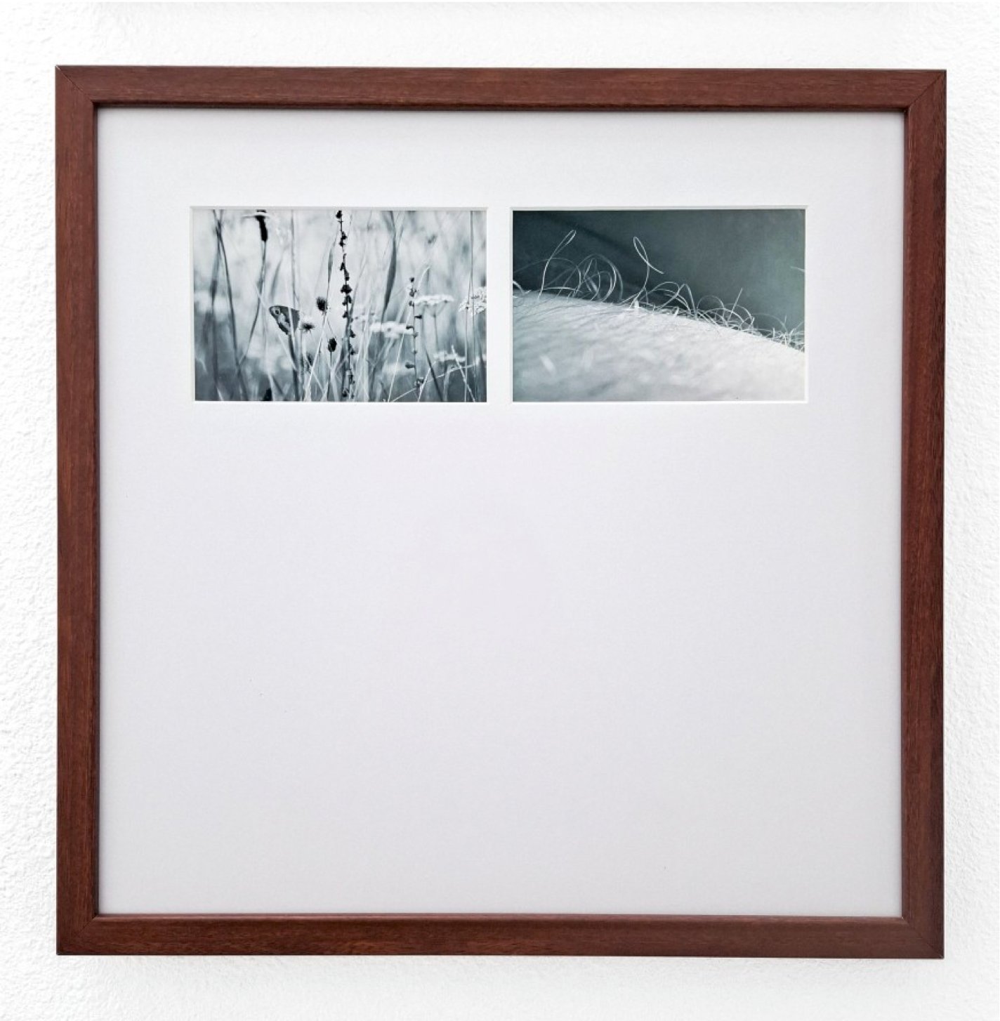 no. 13, traces series, diptych, 2008, printed 2019