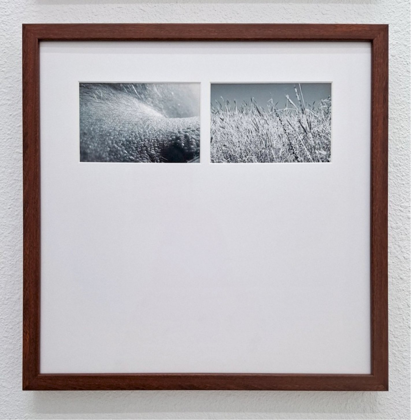no. 14, traces series, diptych, 2008, printed 2019