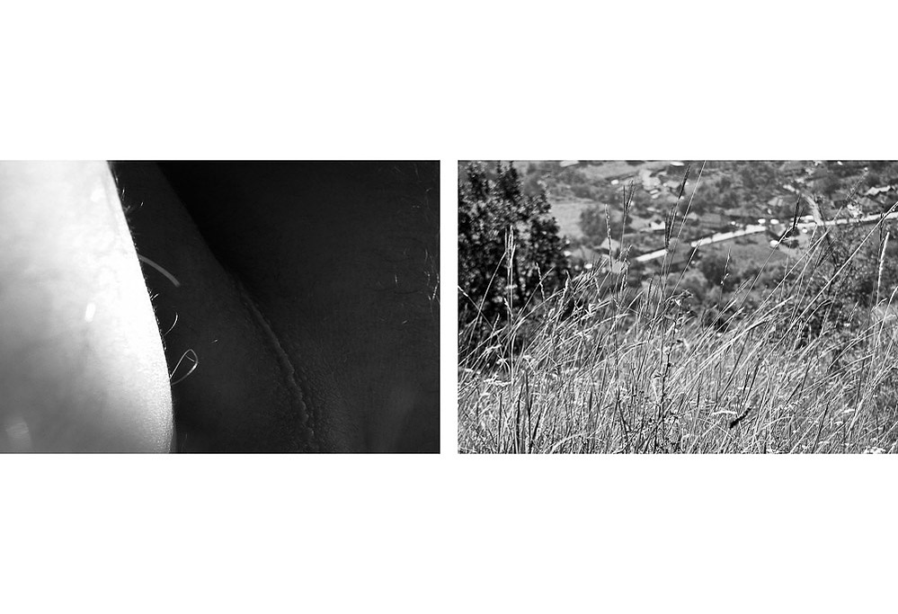 no. 15, traces series, diptych, 2008, printed 2019