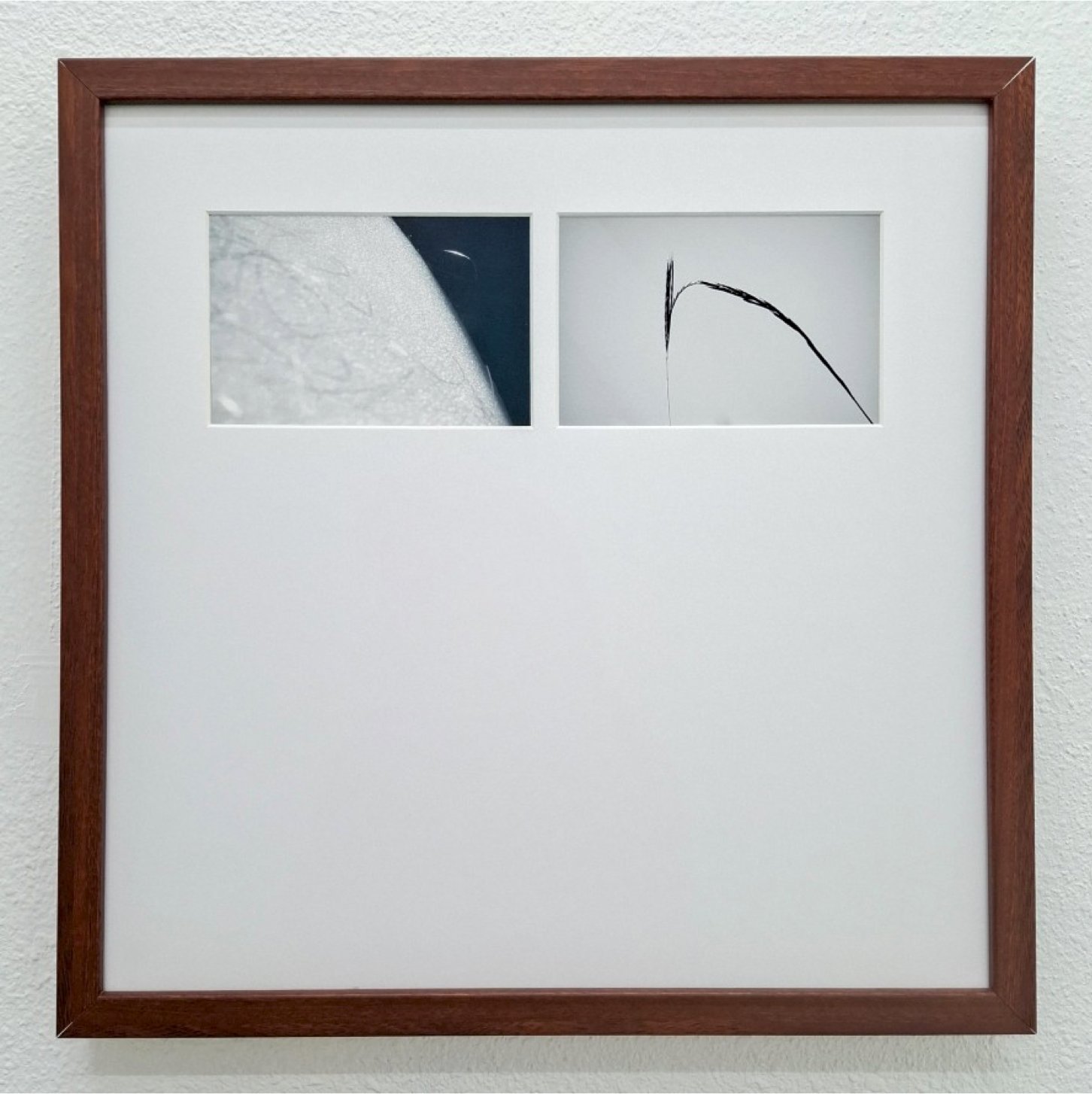 no. 2, traces series, diptych, 2008, printed 2019