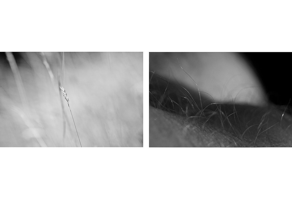no. 3, traces series, diptych, 2008, printed 2019