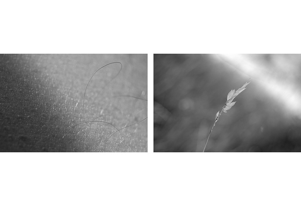no. 4, traces series, diptych, 2008, printed 2019