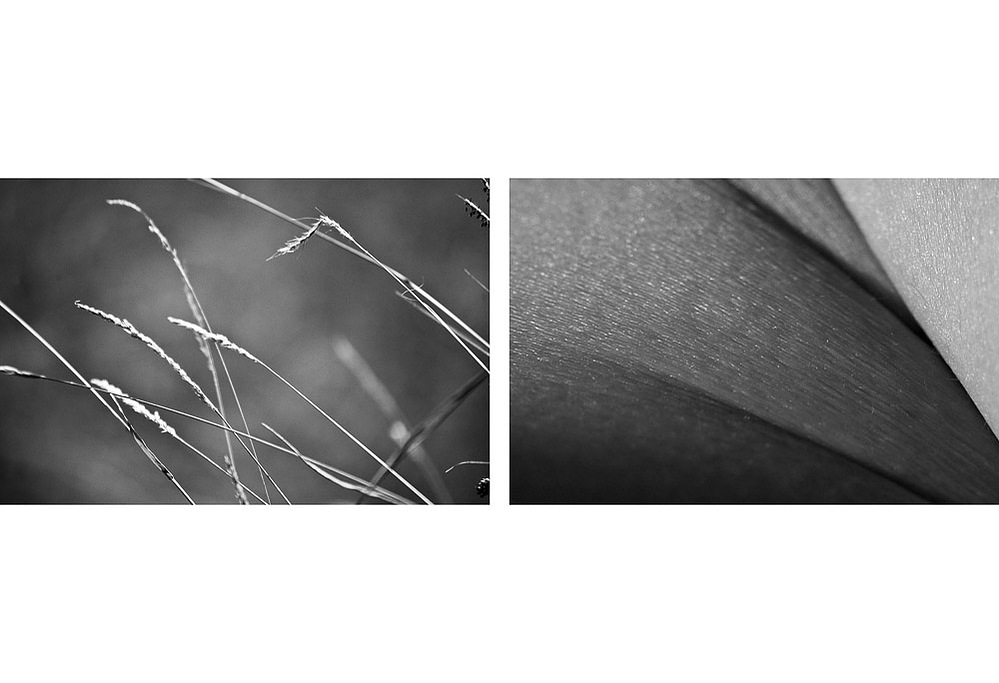 no. 5, traces series, diptych, 2008, printed 2019