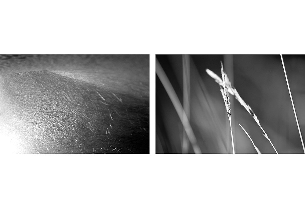 no. 6, traces series, diptych, 2008, printed 2019