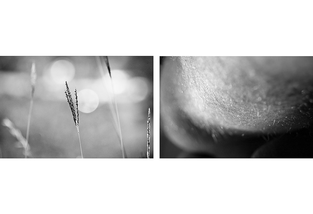 no. 7, traces series, diptych, 2008, printed 2019
