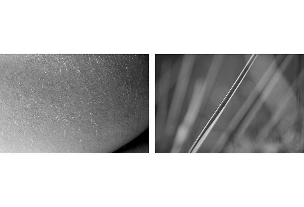 no. 8, traces series, diptych, 2008, printed 2019
