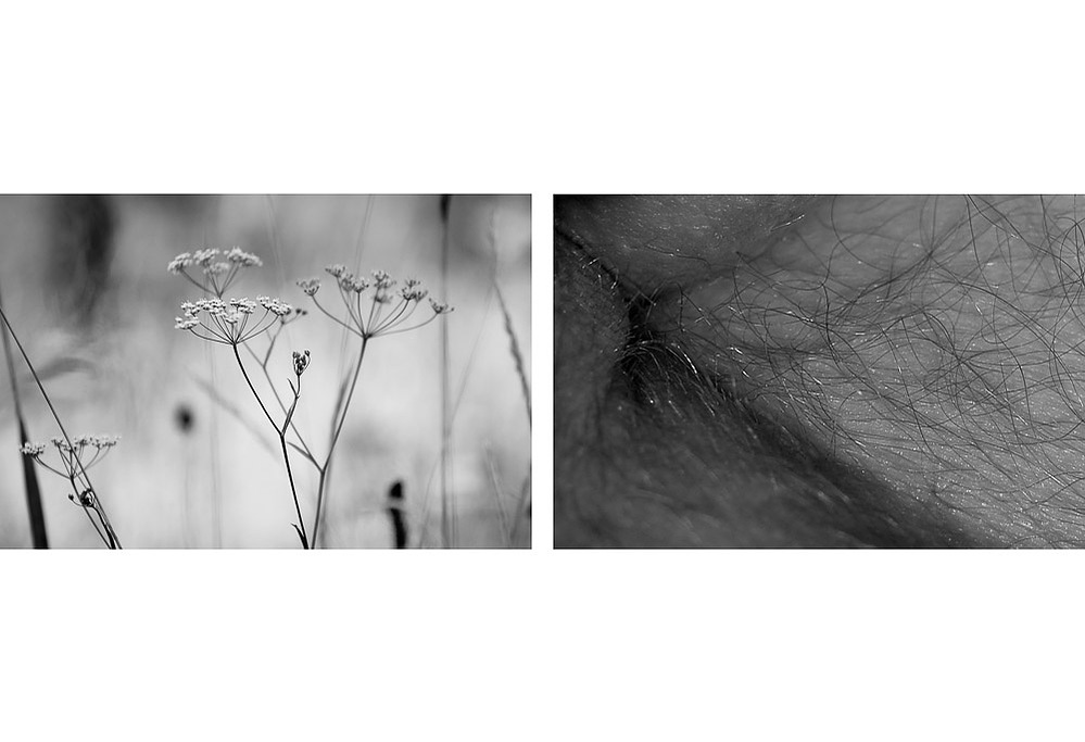 no. 9, traces series, diptych, 2008, printed 2019