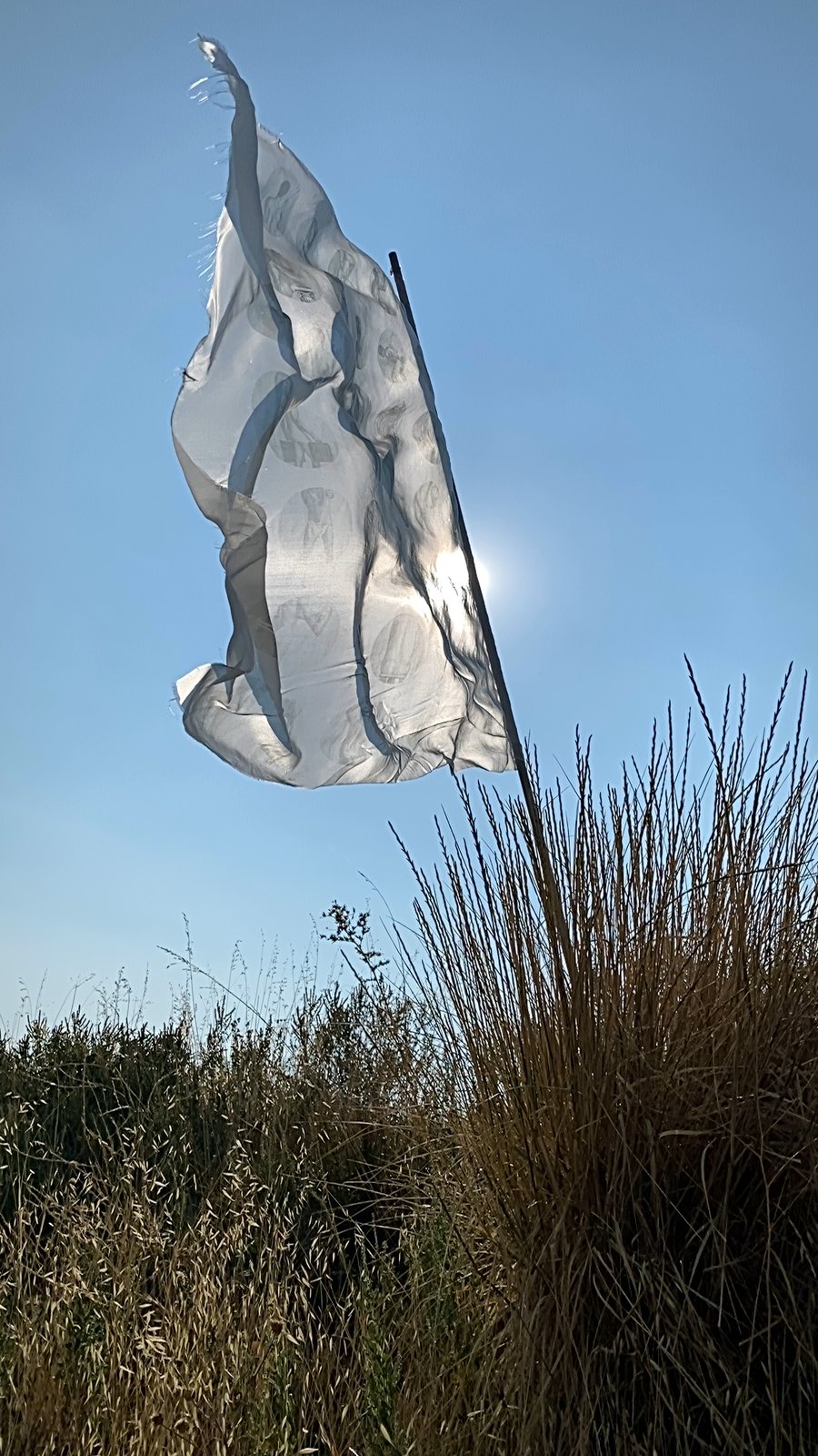 the white flag near Julian, CA, 2021 — the silk arched and falling sideways, body figures visible across the upper surface, edges torn