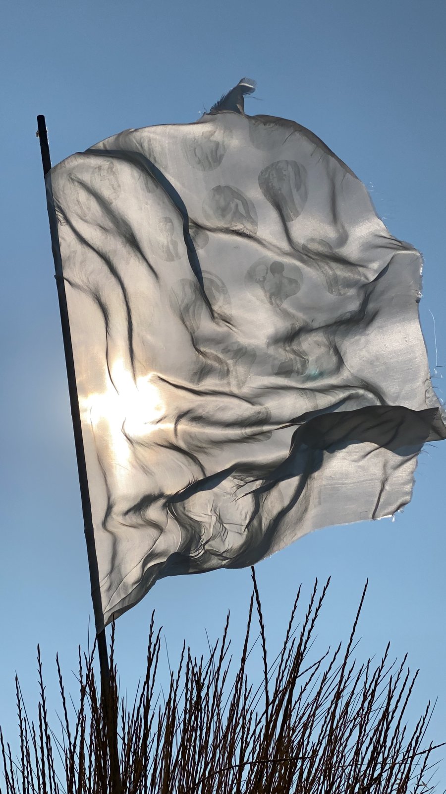 the white flag near Julian, CA, 2021 — the silk billowing fully open in the wind, body figures visible across the surface, edges tearing