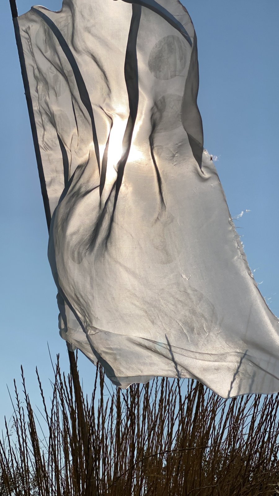 the white flag near Julian, CA, 2021 — the silk in a vertical drape, sun directly behind, figures showing through