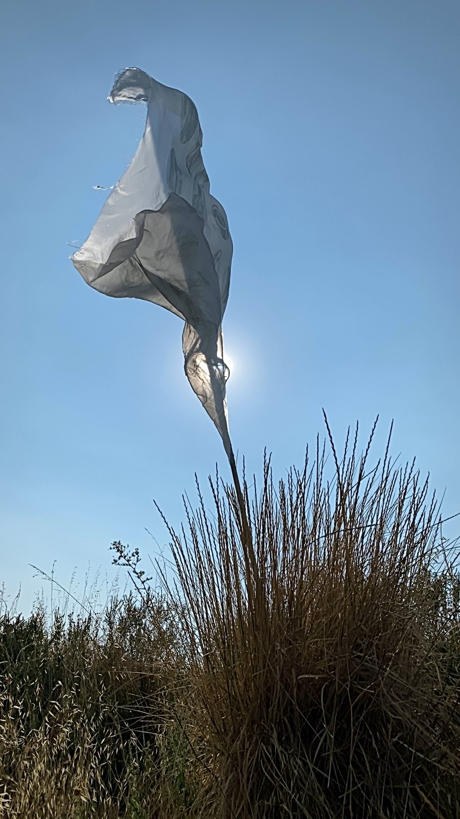 the white flag near Julian, CA, 2021 — the silk drawn into an elongated column form by the wind, sun behind at the base