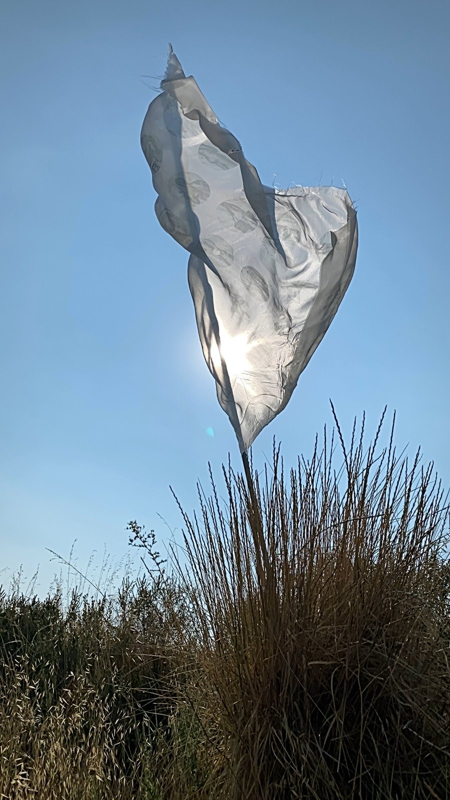 the white flag near Julian, CA, 2021 — the silk twisted into a hanging wisp form against the sky, sun directly behind