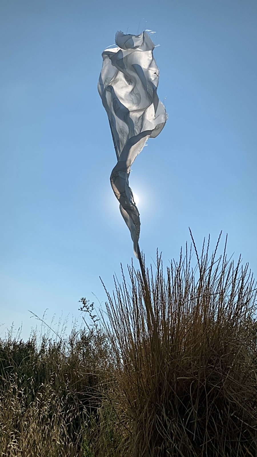 the white flag near Julian, CA, 2021 — the silk wound into a vertical spiraling column shape