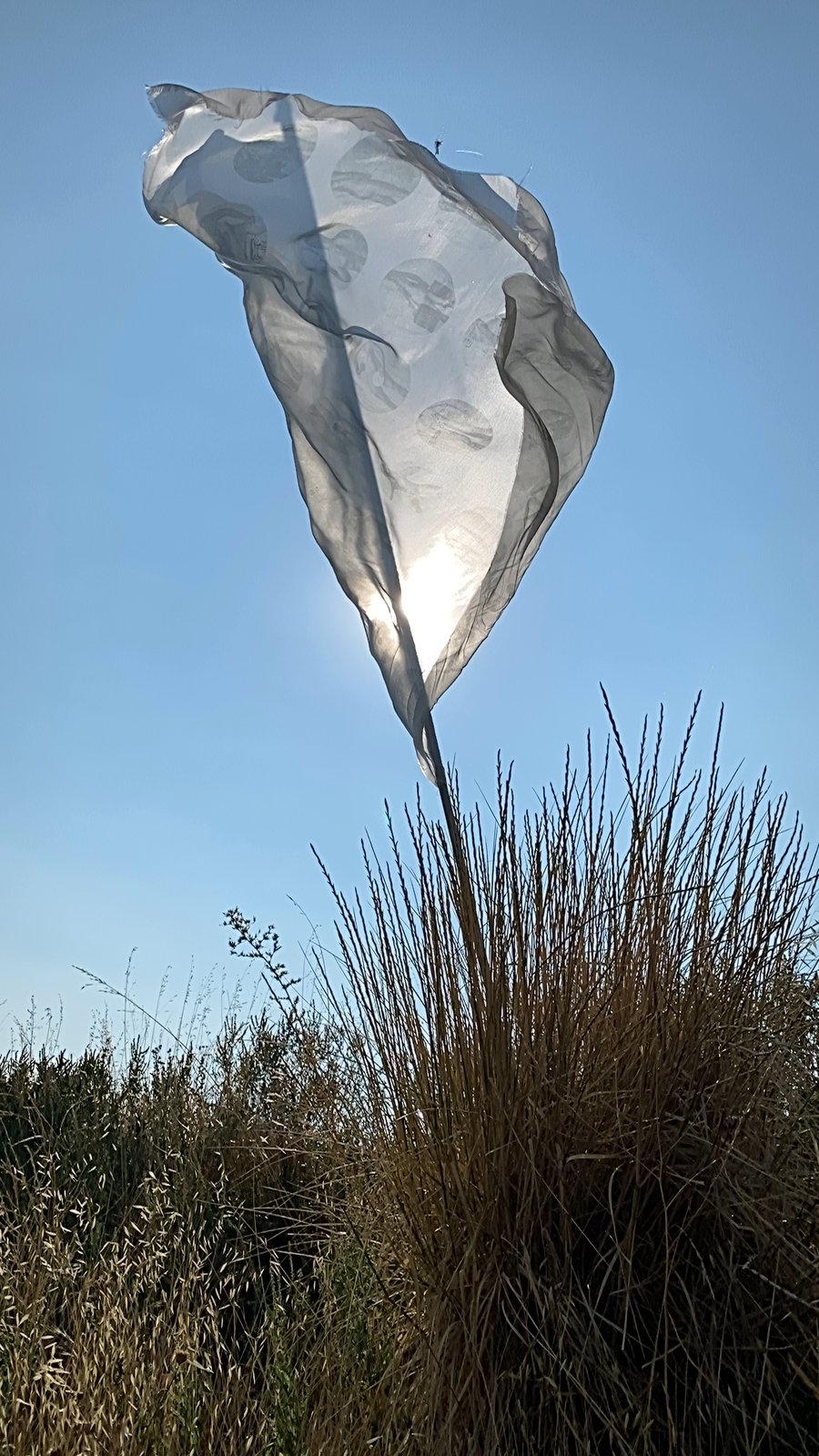 the white flag near Julian, CA, 2021 — the silk pulled into a draped, folded form by the wind