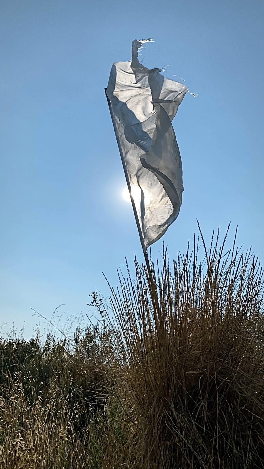 the white flag near Julian, CA, 2021 — the silk in vertical wave forms against the sun, figures faintly visible