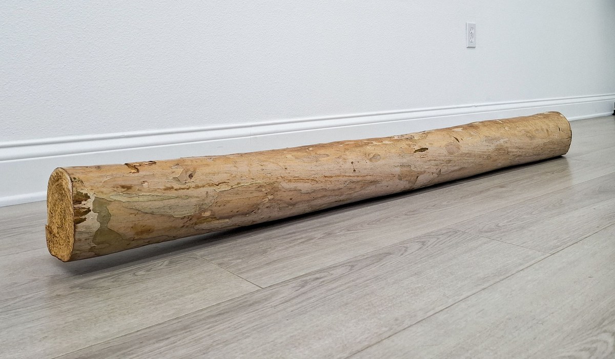 Tree, 2025